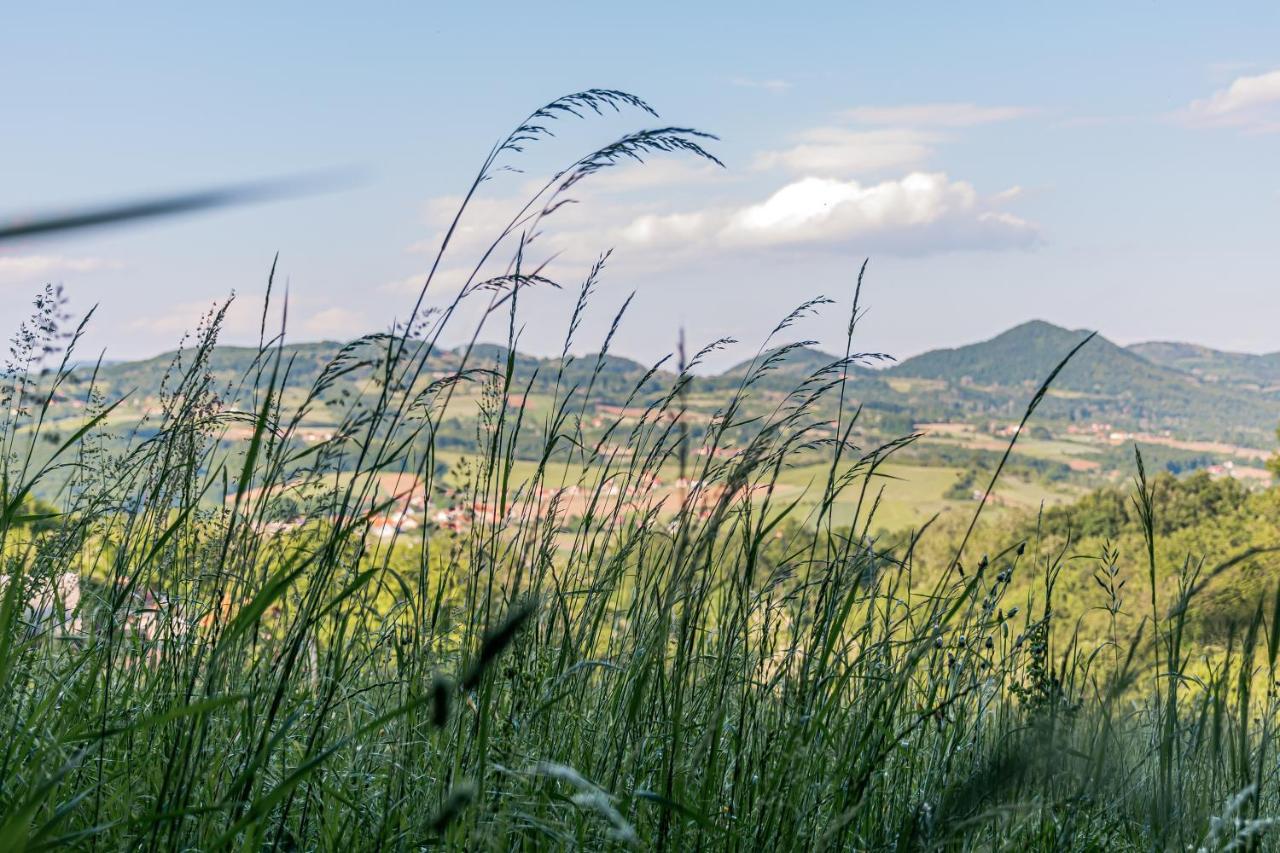 Apartmani Lunija Gornji Milanovac Buitenkant foto