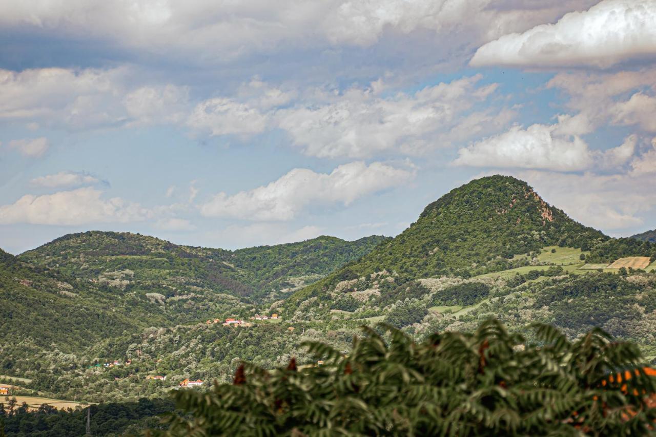 Apartmani Lunija Gornji Milanovac Buitenkant foto