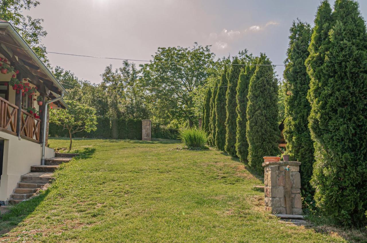 Apartmani Lunija Gornji Milanovac Buitenkant foto