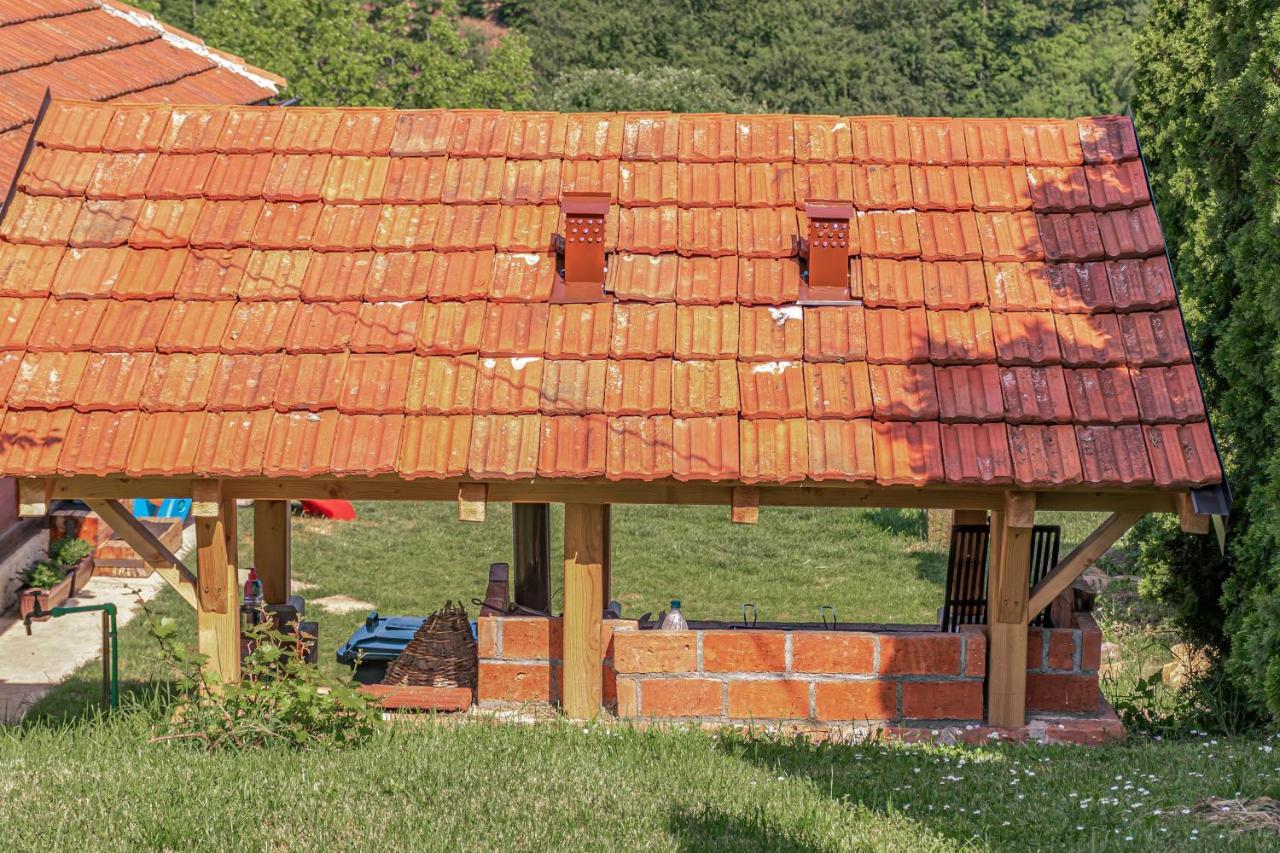 Apartmani Lunija Gornji Milanovac Buitenkant foto