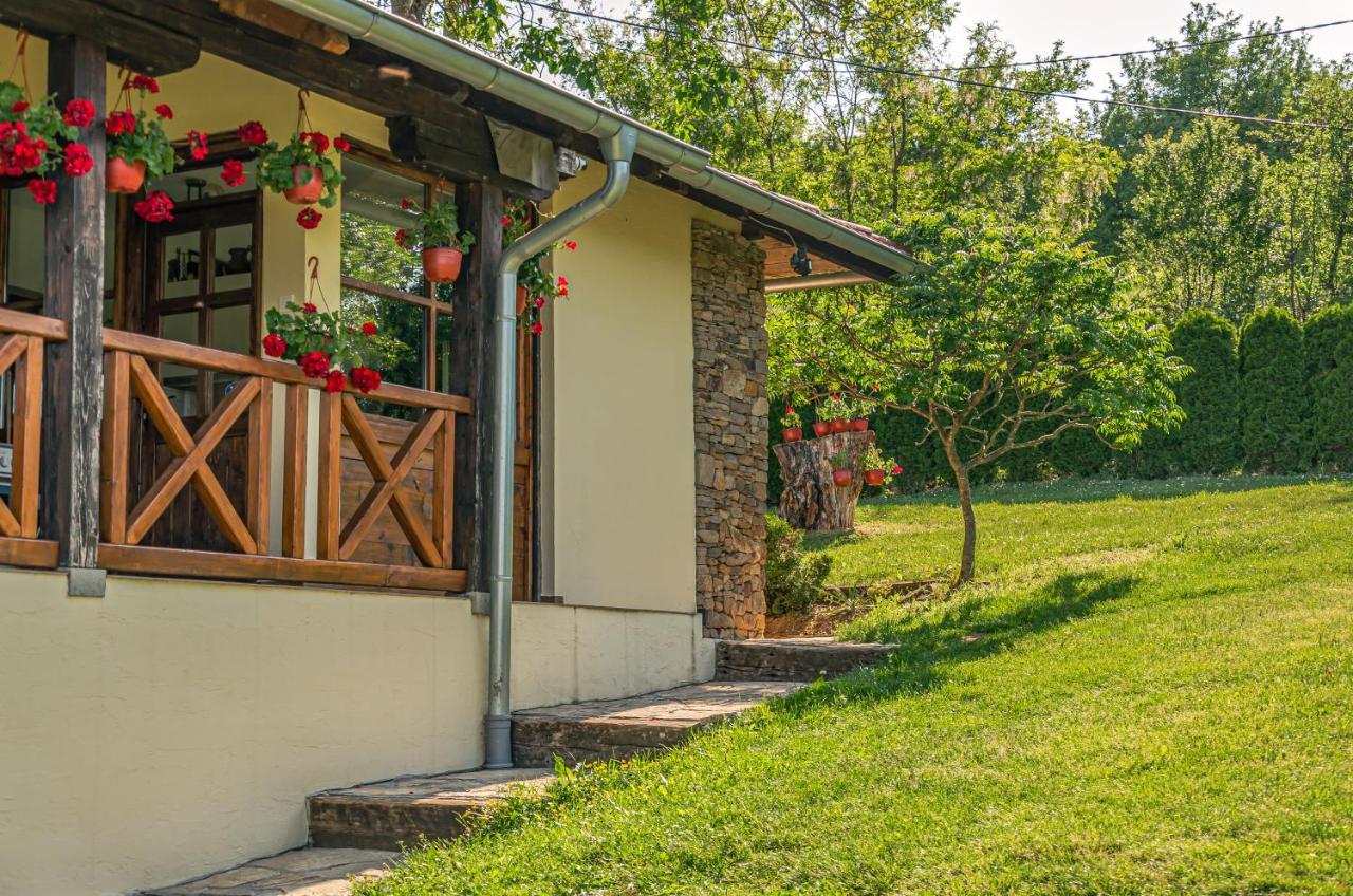Apartmani Lunija Gornji Milanovac Buitenkant foto