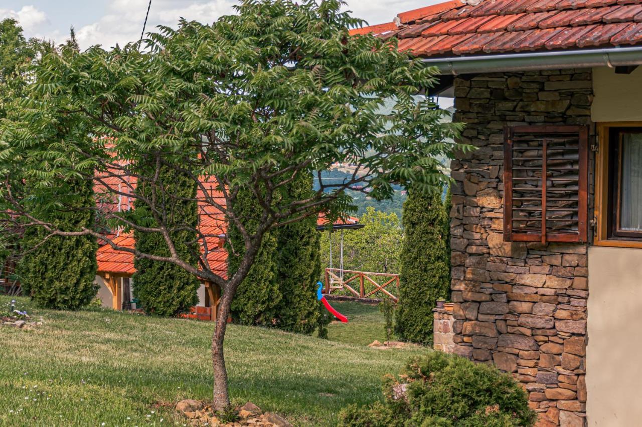 Apartmani Lunija Gornji Milanovac Buitenkant foto
