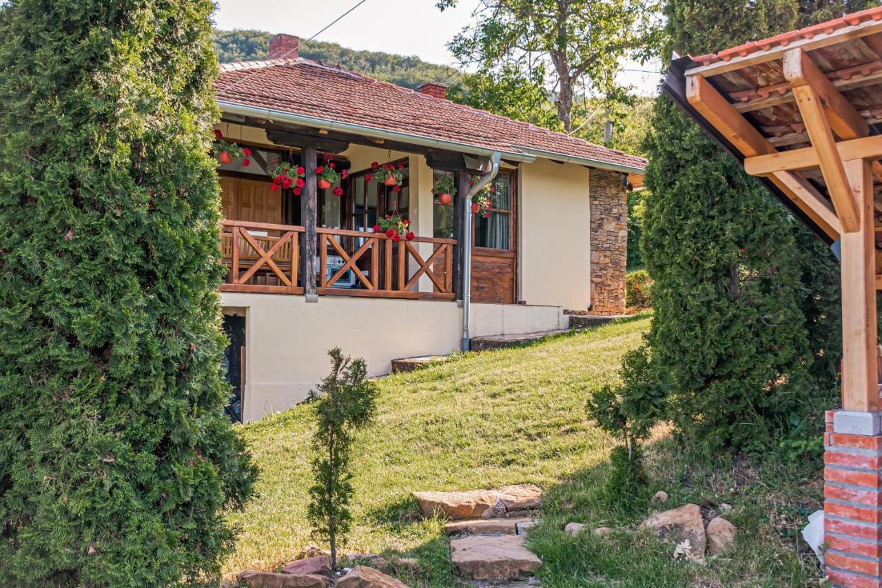 Apartmani Lunija Gornji Milanovac Buitenkant foto