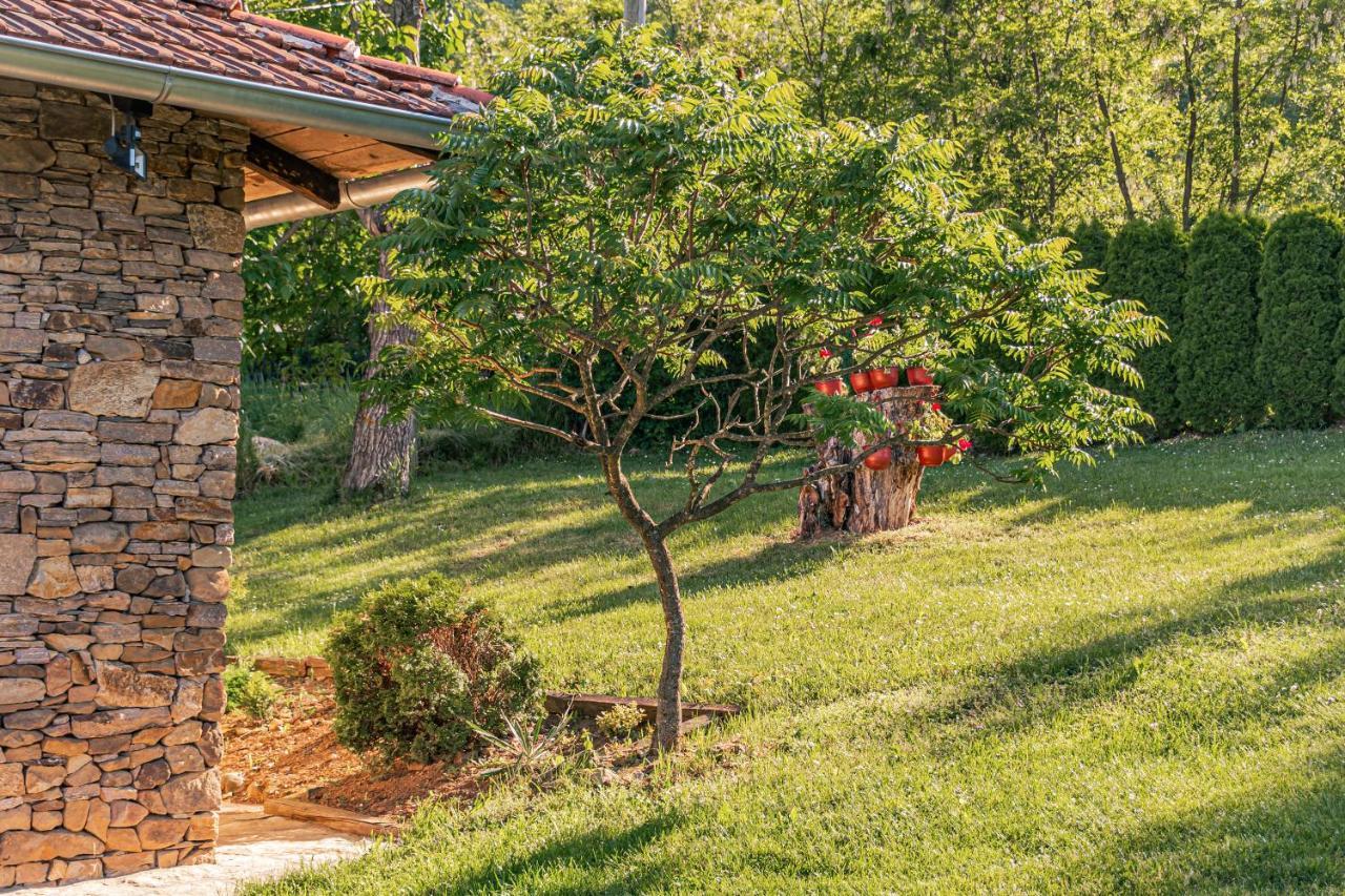 Apartmani Lunija Gornji Milanovac Buitenkant foto