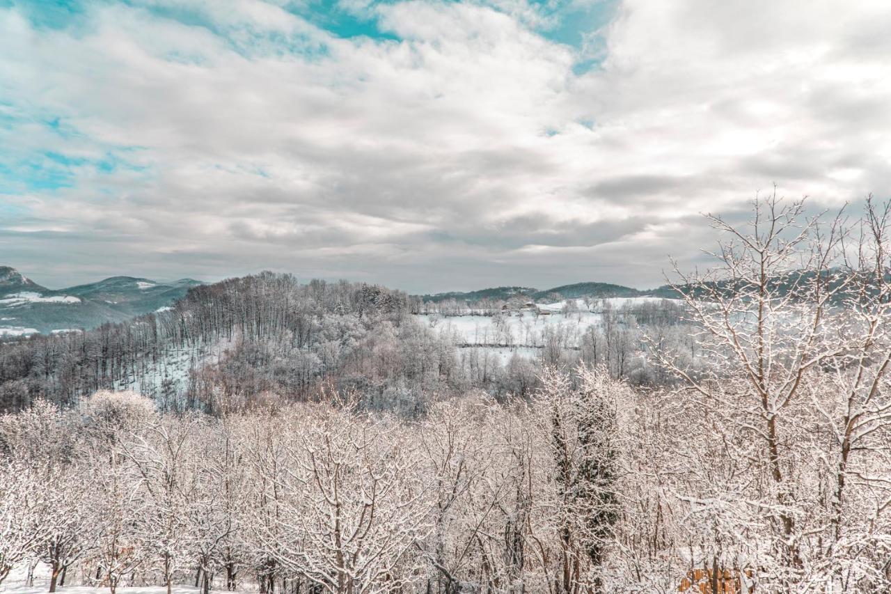 Apartmani Lunija Gornji Milanovac Buitenkant foto