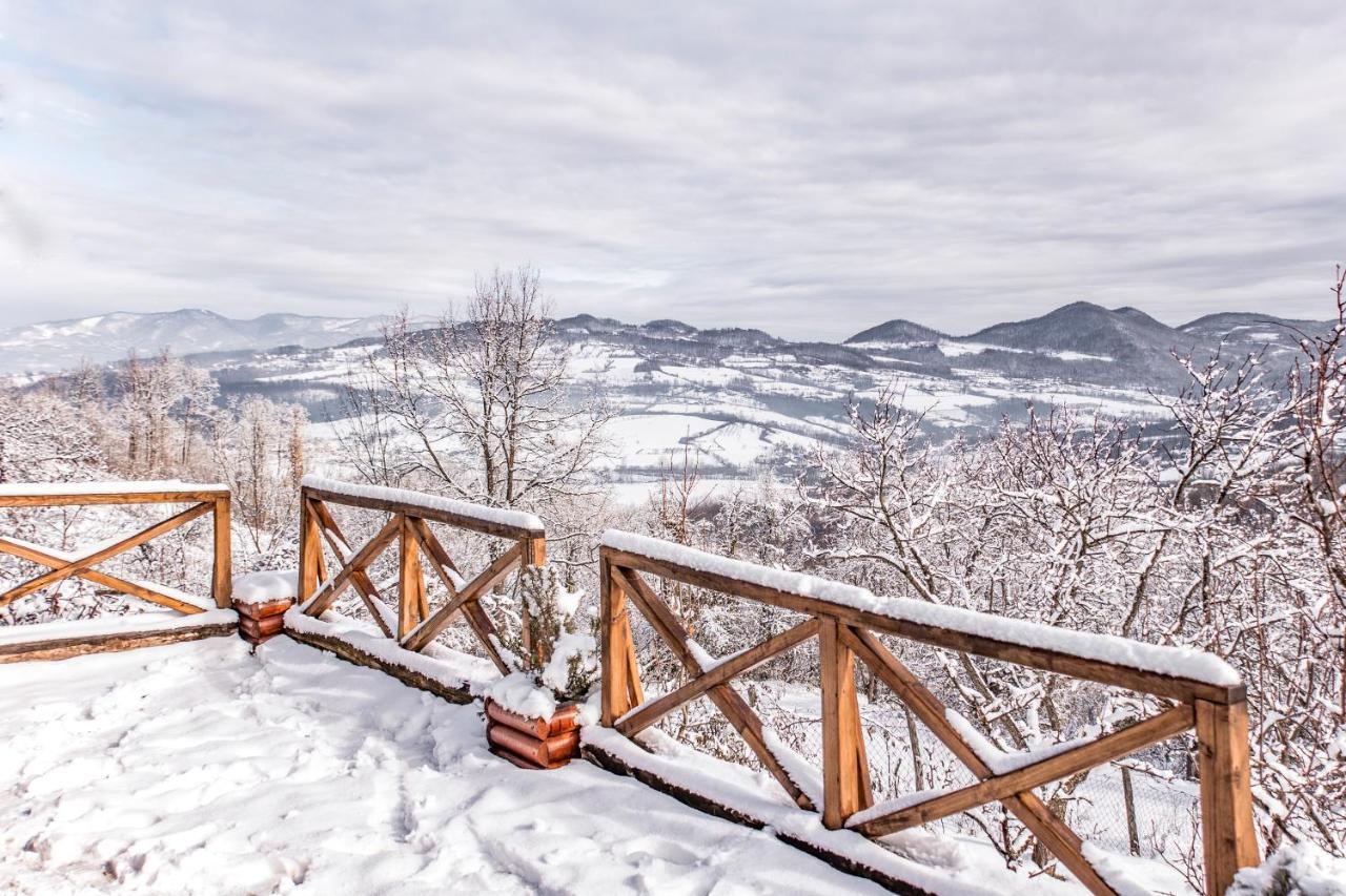 Apartmani Lunija Gornji Milanovac Buitenkant foto