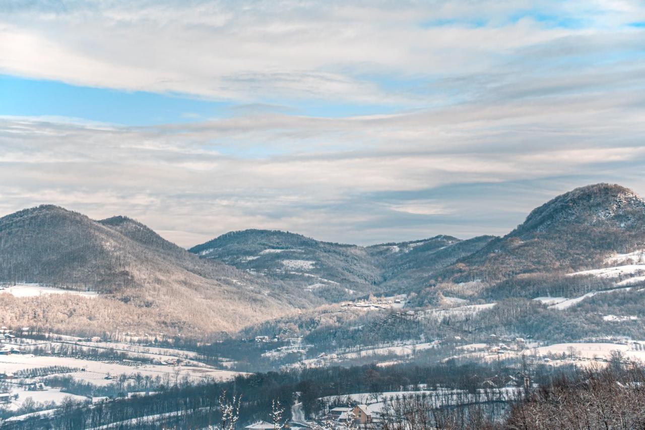 Apartmani Lunija Gornji Milanovac Buitenkant foto
