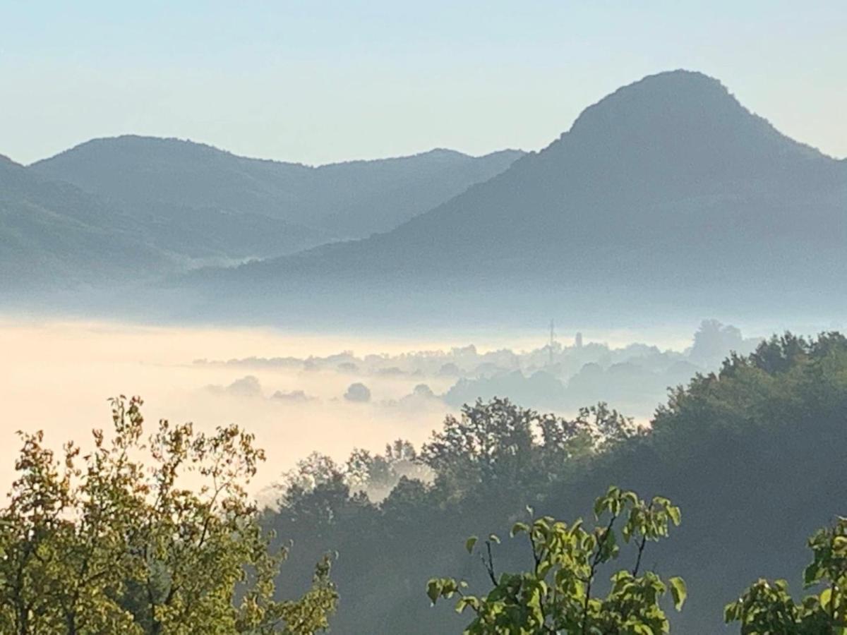 Apartmani Lunija Gornji Milanovac Buitenkant foto