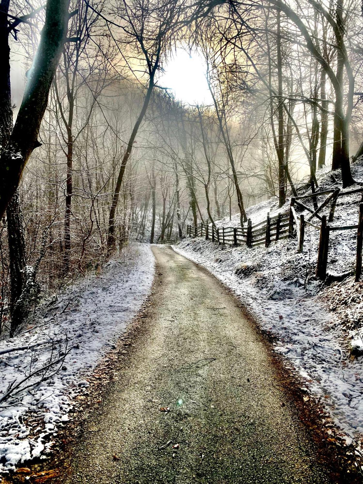 Apartmani Lunija Gornji Milanovac Buitenkant foto